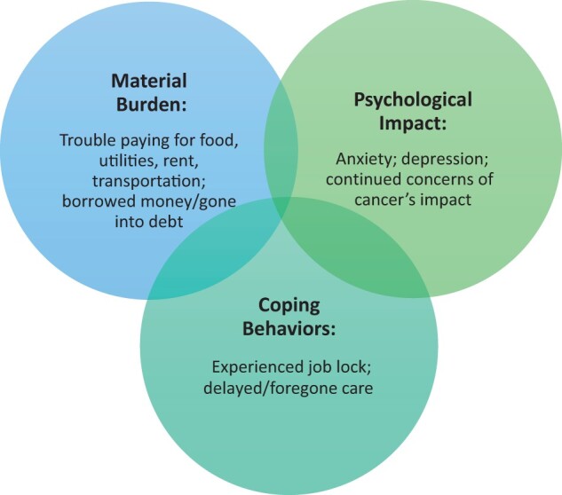 Financial distress and medical financial hardship among young adult survivors of blood cancer.
