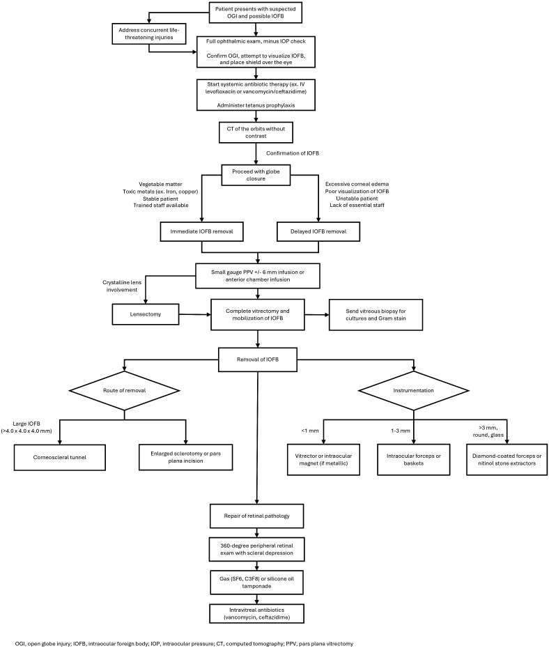 Advances in the management of intraocular foreign bodies.