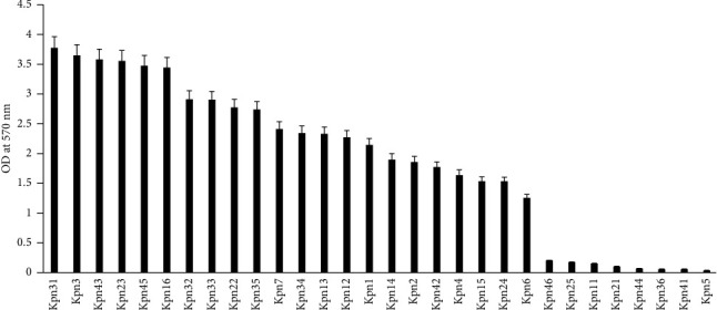 The Characteristic of Biofilm Formation in ESBL-Producing <i>K. pneumoniae</i> Isolates.