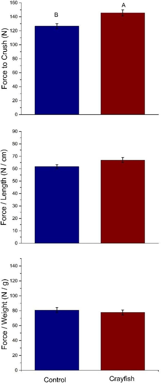 Risky Business: Predator Chemical Cues Mediate Morphological Changes in Freshwater Snails.