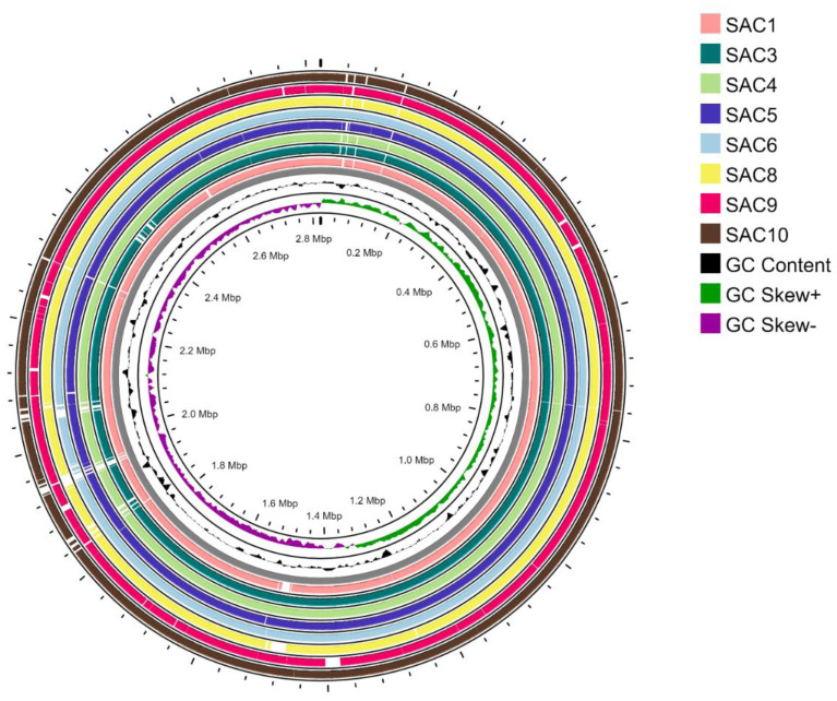 Deciphering the genomic character of the multidrug-resistant <i>Staphylococcus aureus</i> from Dhaka, Bangladesh.