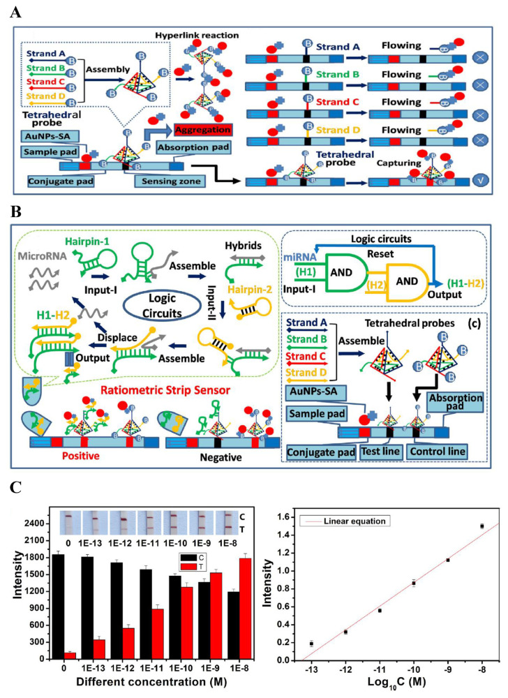 Functional gold nanoparticles for analysis and delivery of nucleic acids.