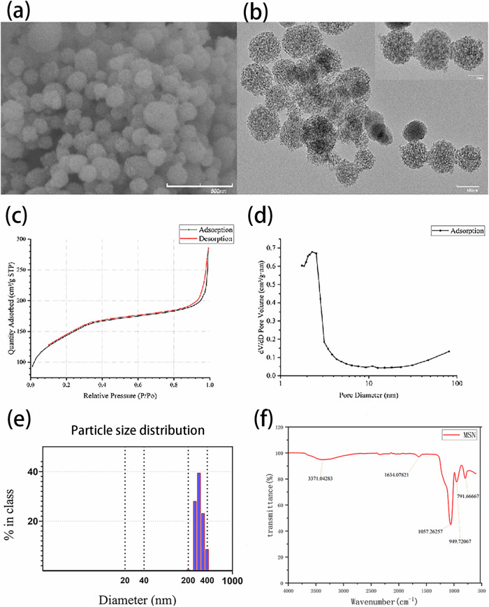Inhibitory impact of a mesoporous silica nanoparticle-based drug delivery system on Porphyromonas gingivalis-induced bone resorption