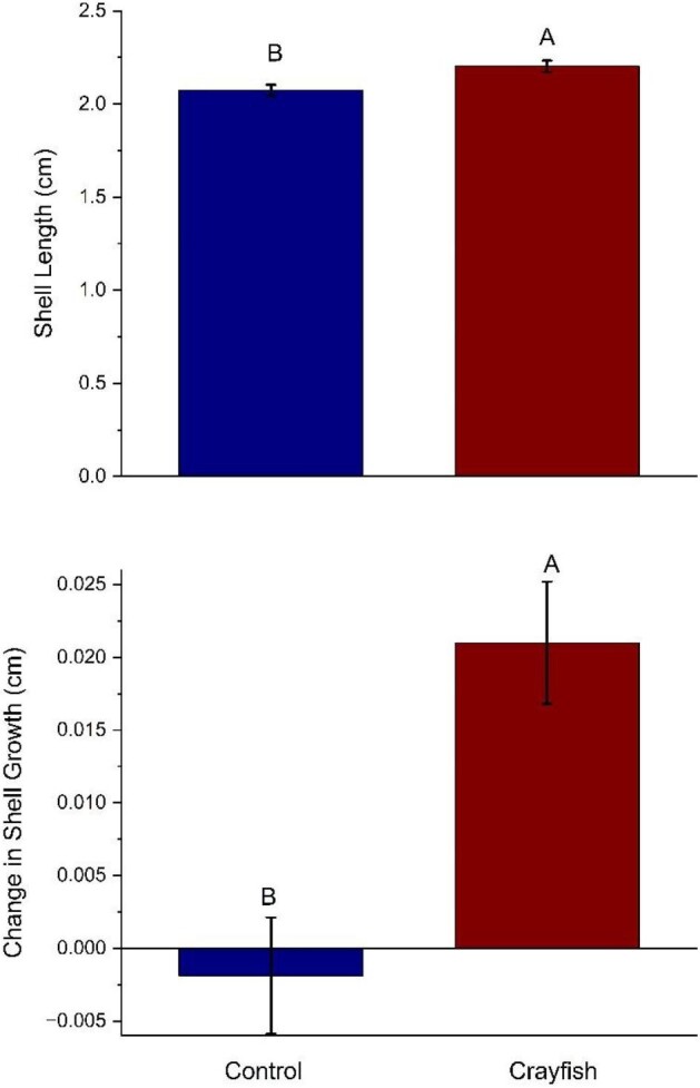 Risky Business: Predator Chemical Cues Mediate Morphological Changes in Freshwater Snails.