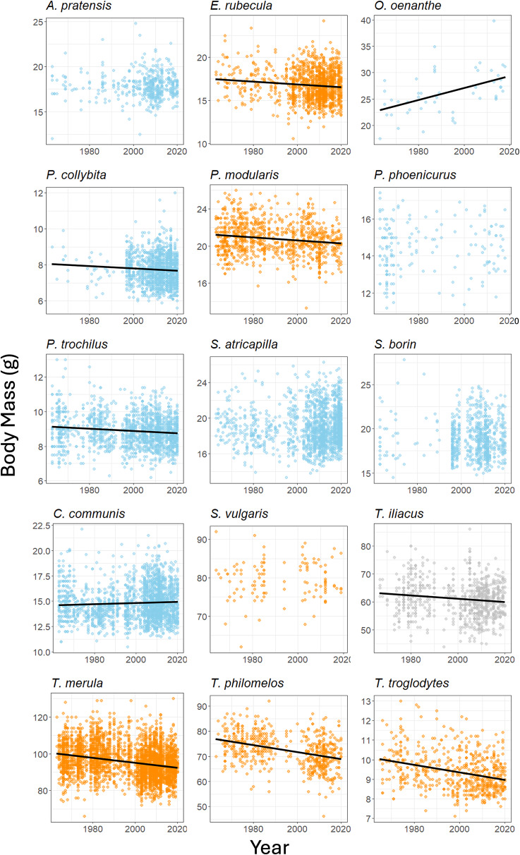 Differential changes in the morphology and fuel loads of obligatory and partial migrant passerines over half a century in Britain.