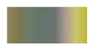 Harnessing gold nanomaterials for advanced multicolor colorimetric biosensors in food hazards detection.