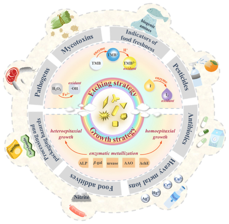 Harnessing gold nanomaterials for advanced multicolor colorimetric biosensors in food hazards detection.