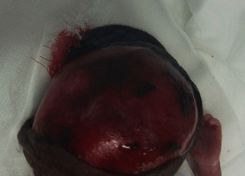 Abstract Image