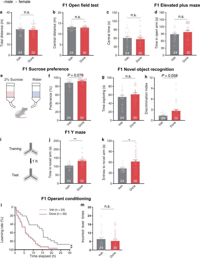 Paternal preconception donepezil exposure enhances learning in offspring.