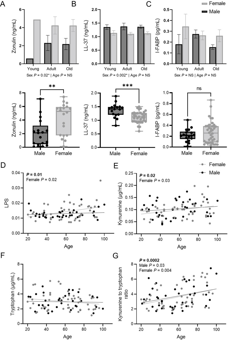 Monocyte-driven inflamm-aging reduces intestinal barrier function in females.