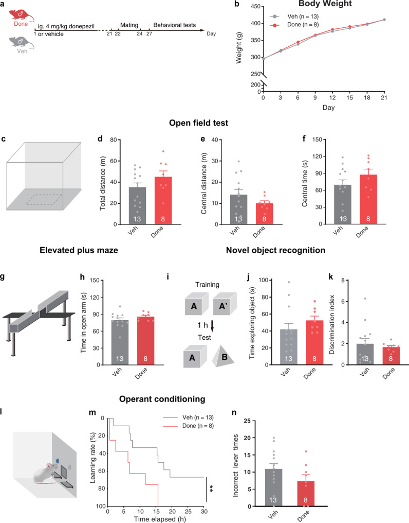 Paternal preconception donepezil exposure enhances learning in offspring.