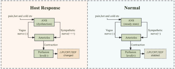 Early peripheral perfusion monitoring in septic shock.