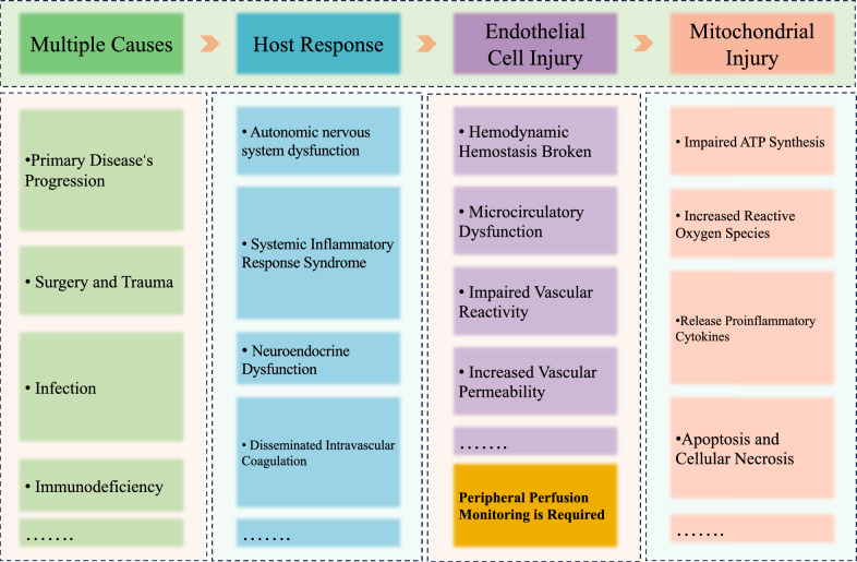 Early peripheral perfusion monitoring in septic shock.