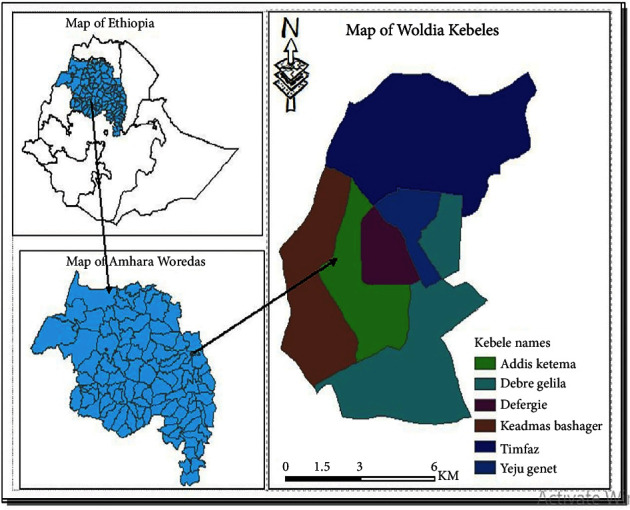 Prevalence and Association of Malaria With the Blood Group on Febrile Patients at Woldia Comprehensive Specialized Hospital, Northeast Ethiopia.