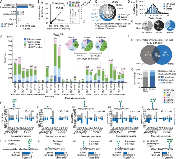 α-Mannosylated HLA-II glycopeptide antigens dominate the immunopeptidome of immortalised cells and tumour tissues.