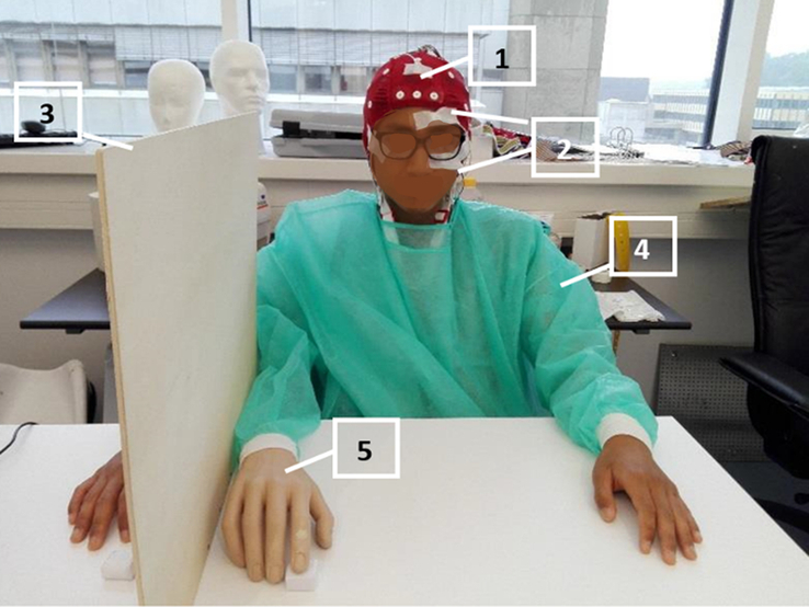 Threatening an Illusory Limb: An Event-related Potential Study of the Rubber Hand Illusion.