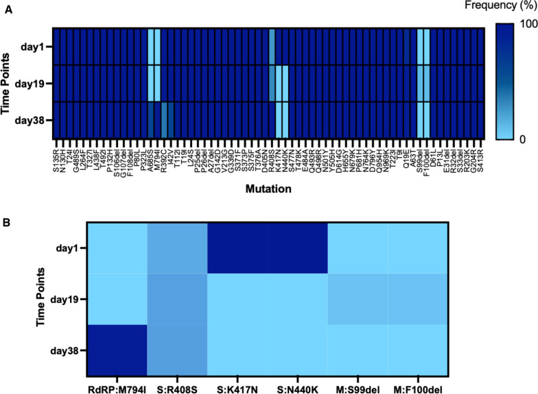 Case reports of persistent SARS-CoV-2 infection outline within-host viral evolution in immunocompromised patients.