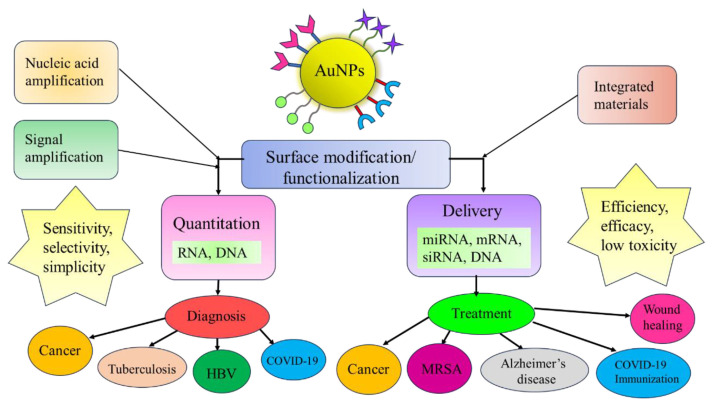Functional gold nanoparticles for analysis and delivery of nucleic acids.