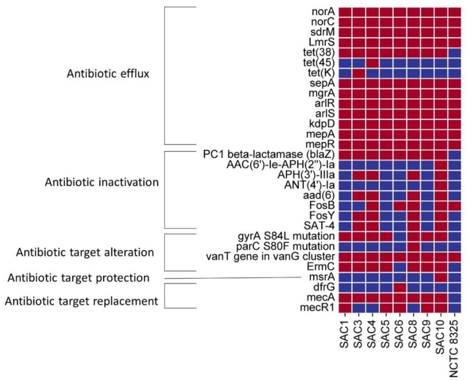 Deciphering the genomic character of the multidrug-resistant <i>Staphylococcus aureus</i> from Dhaka, Bangladesh.