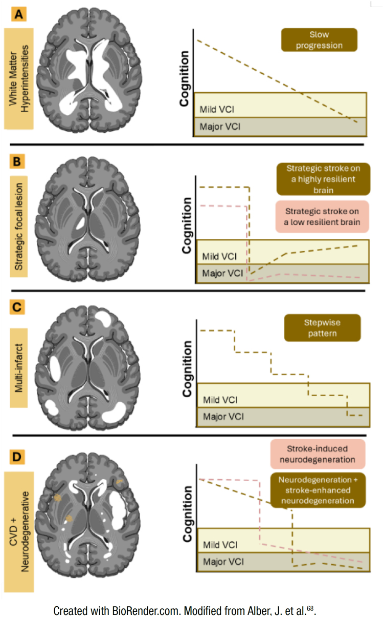 Vascular cognitive impairment and dementia: a narrative review.
