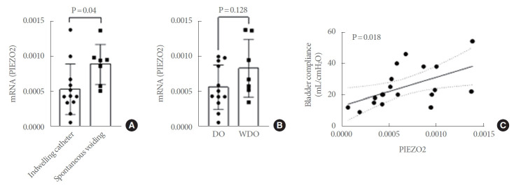 Downregulation of PIEZO2 in the Detrusor of Men With Bladder Outlet Obstruction and Its Association With Urinary Retention and Decreased Bladder Compliance.