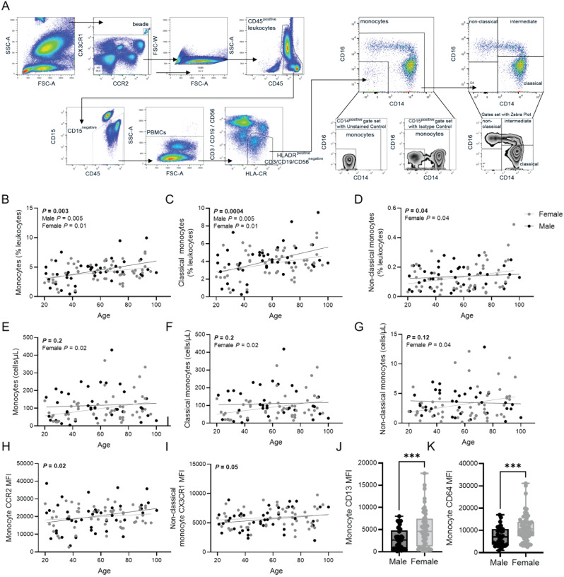 Monocyte-driven inflamm-aging reduces intestinal barrier function in females.