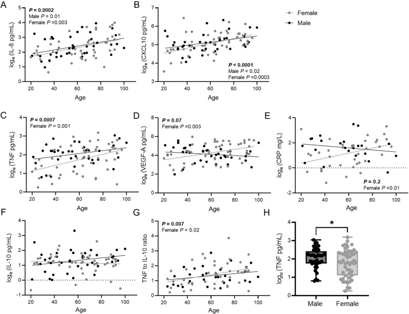 Monocyte-driven inflamm-aging reduces intestinal barrier function in females.
