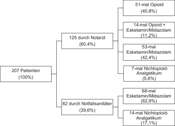 [Comparison of the preclinical quality of analgesia of emergency physicians and paramedics based on trauma patients].