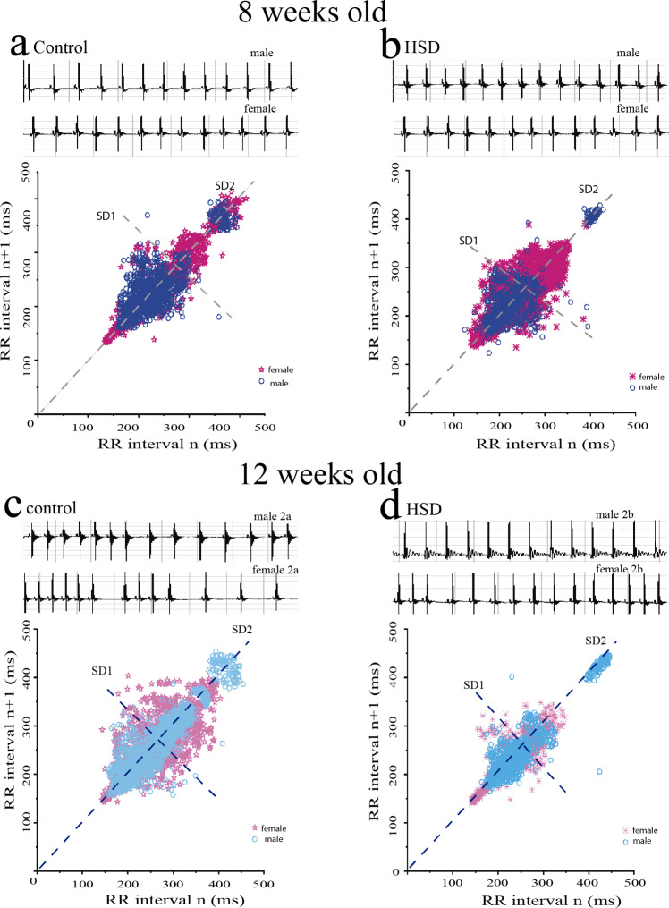A maternal diet high in carbohydrates causes bradyarrhythmias and changes in heart rate variability in the offspring sex-dependent in mice.