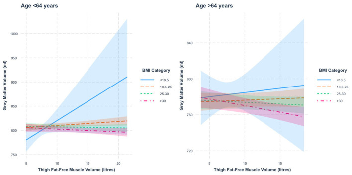 Interactions between muscle volume and body mass index on brain structure in the UK Biobank.