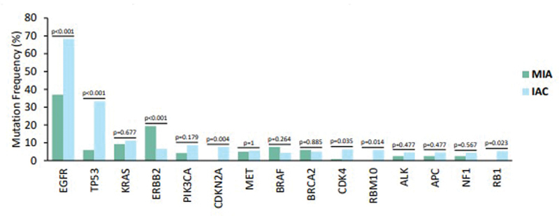 Genomic Landscape Features of Minimally Invasive Adenocarcinoma and Invasive Lung Adenocarcinoma.