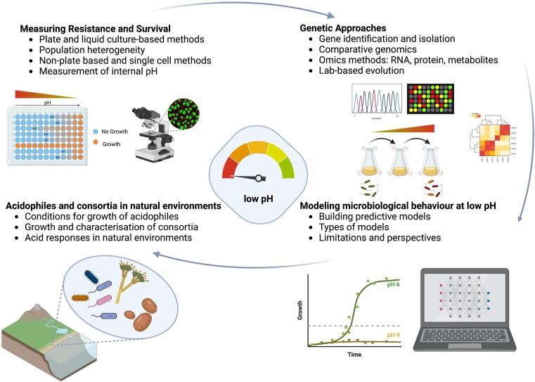 Methods for studying microbial acid stress responses: from molecules to populations.