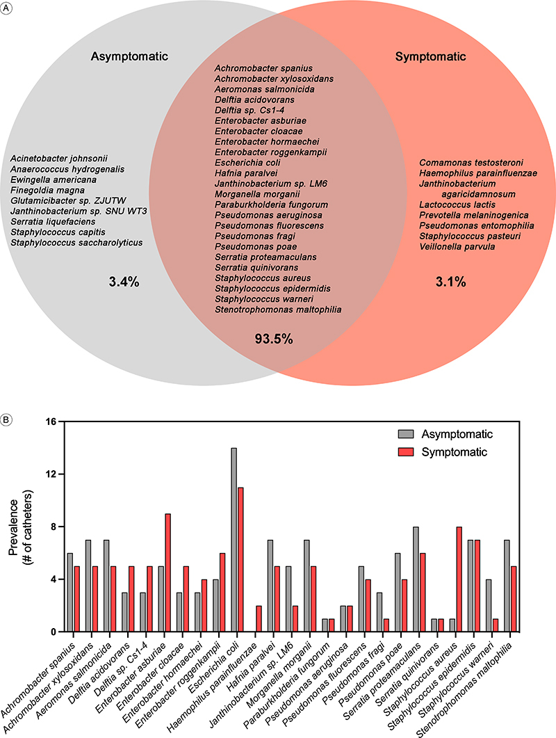 Microbiological analysis of tunneled hemodialysis catheters isolated from patients receiving hemodialysis in Saskatchewan.