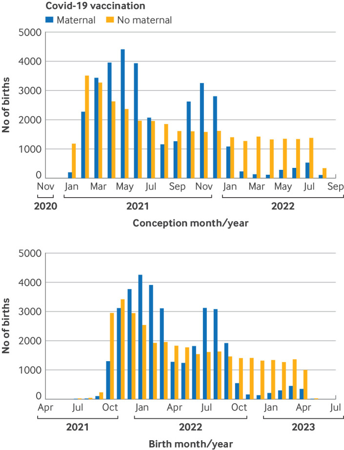Association between maternal mRNA covid-19 vaccination in early pregnancy and major congenital anomalies in offspring: population based cohort study with sibling matched analysis.