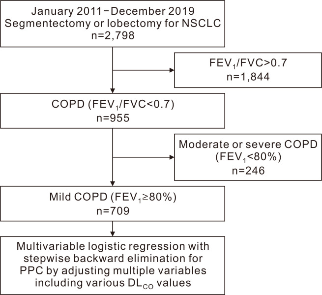 Different DL<sub>CO</sub> Parameters as Predictors of Postoperative Pulmonary Complications in Mild Chronic Obstructive Pulmonary Disease Patients with Lung Cancer.