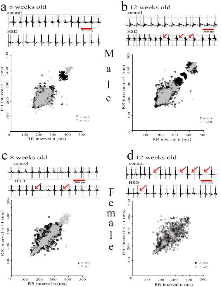 A maternal diet high in carbohydrates causes bradyarrhythmias and changes in heart rate variability in the offspring sex-dependent in mice.
