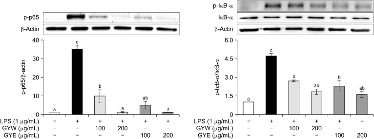 Protective Responses of Green Yuja Peel Extracts to Lipopolysaccharide-Induced Inflammation and Reactive Oxygen Species Production in RAW264.7 Cells.