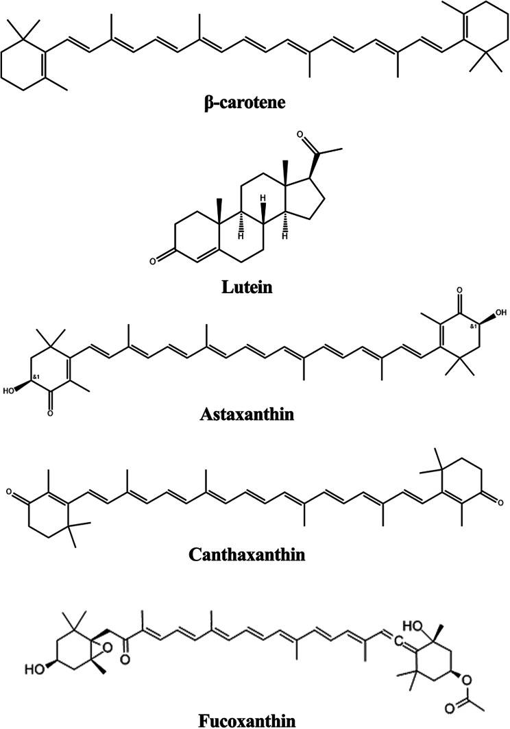 Recent biotechnological applications of value-added bioactive compounds from microalgae and seaweeds.