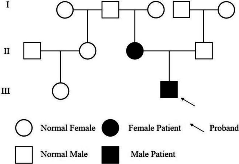 Identification of autosomal dominant lateral temporal epilepsy caused by a novel mutation in RELN in China: a case report.