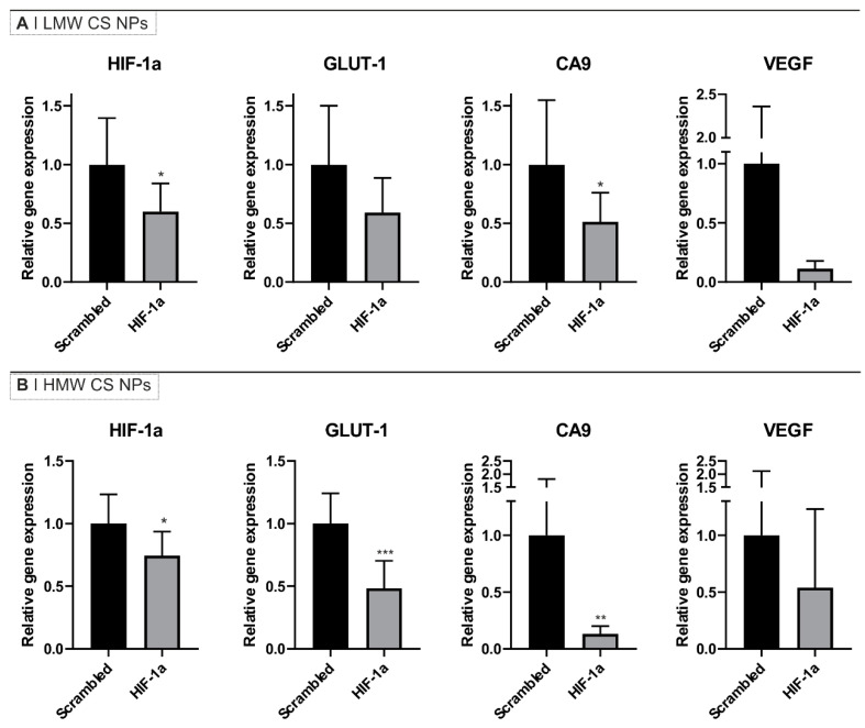 Abstract Image