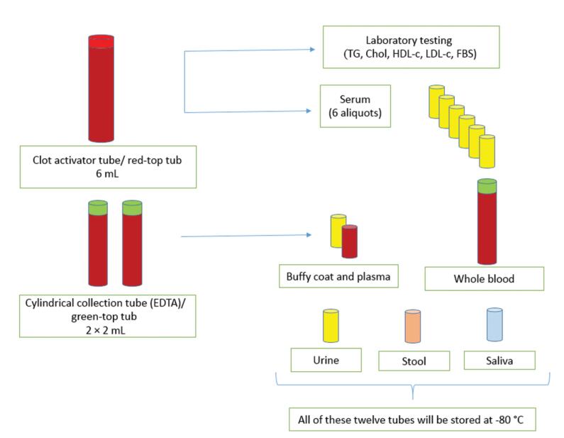 Preliminary Results of Iran Premature Coronary Artery Disease (IPAD study) and Implementation of IPAD Biobank: A Case-Control Study.