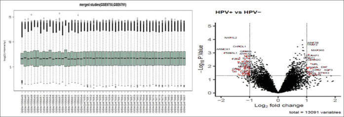 Analysis of Human Papillomavirus-Associated Cervical Cancer Differentially Expressed Genes and Identification of Prognostic Factors using Integrated Bioinformatics Approaches.