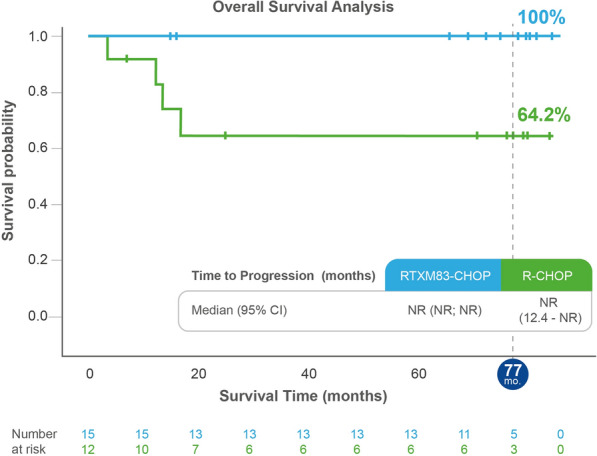 Long-Term Safety and Effectiveness of Rituximab Biosimilar RTXM83: A Retrospective Extension Study in Brazilian Patients with Diffuse Large B-Cell Lymphoma.