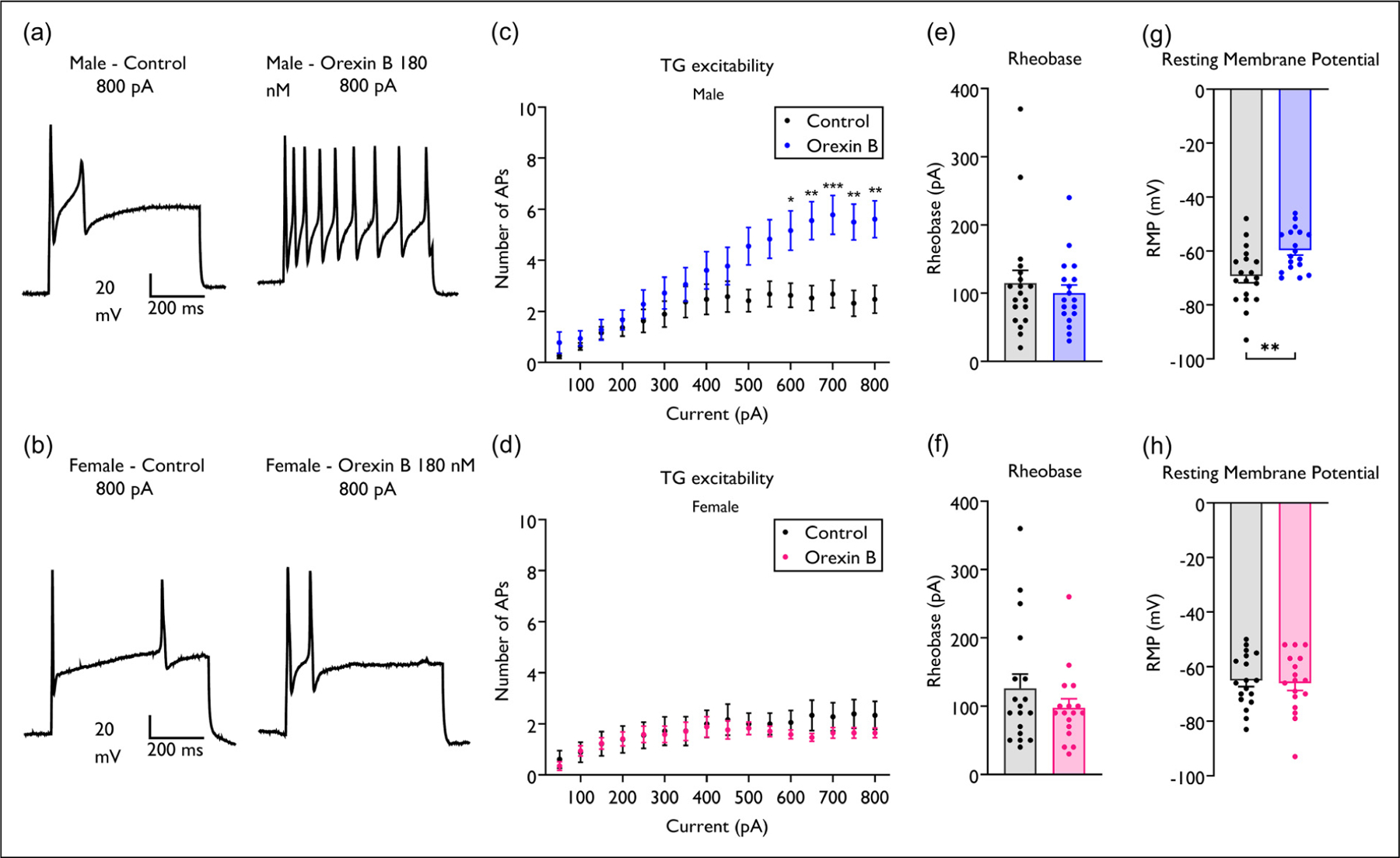 A male-specific mechanism of meningeal nociceptor sensitization promoting migraine headache.