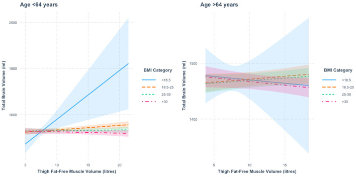 Interactions between muscle volume and body mass index on brain structure in the UK Biobank.