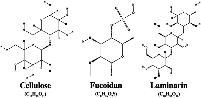 Recent biotechnological applications of value-added bioactive compounds from microalgae and seaweeds.