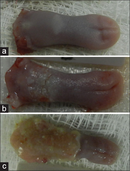 Effect of exposure to the carcinogen 50 ppm 4-nitroquinoline 1-oxide on alveolar bone loss.