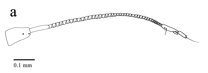 Abstract Image