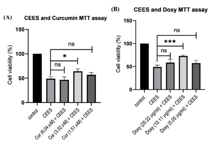 Doxycycline versus Curcumin for Inhibition of Matrix Metalloproteinase Expression and Activity Following Chemically Induced Inflammation in Corneal Cells.