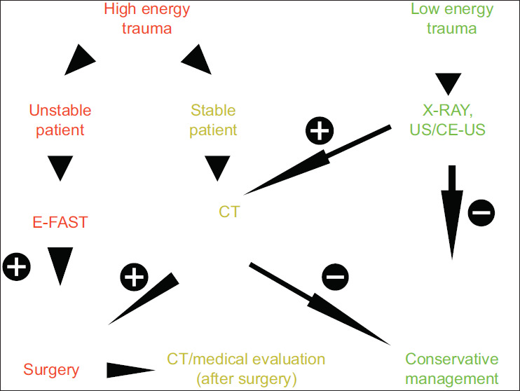 Contrast-enhanced Ultrasound as a Method of Splenic Injury Assessment.